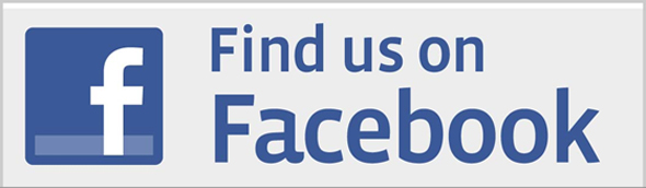 Facebook-Sayfası