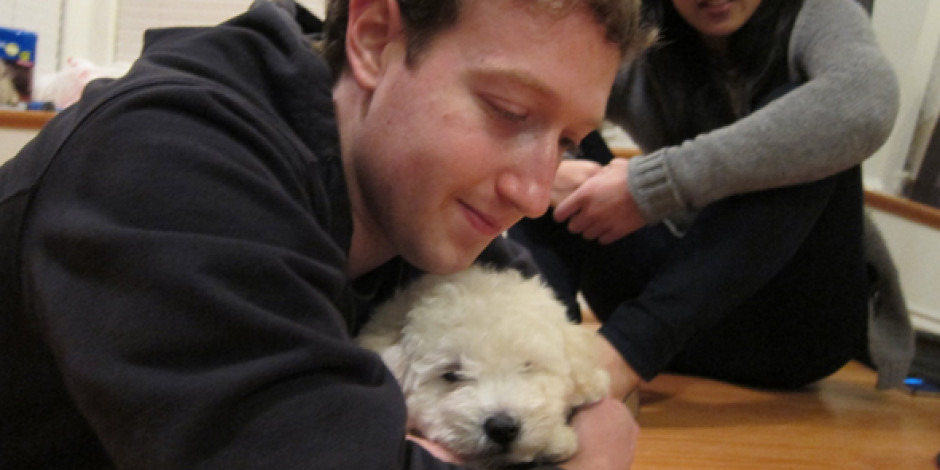 Zuckerberg’in Köpeğini Merak Eden?