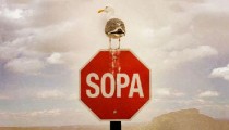 Facebook, Twitter ve Google SOPA’yı Nasıl Protesto Etti?