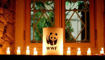 WWF, Tüm Dünyayı Bir Saatliğine Işıklarını Kapatmaya Çağırıyor