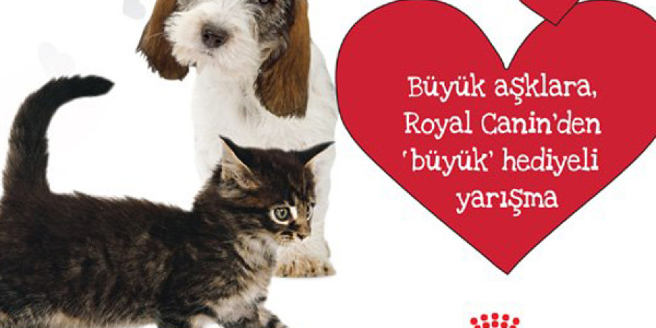 Royal Canin Facebook Yarışmasıyla Hayvan Sevgisine Dikkat Çekiyor