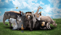 Groupon ve WWF’den Canlıları Koruma Kampanyası