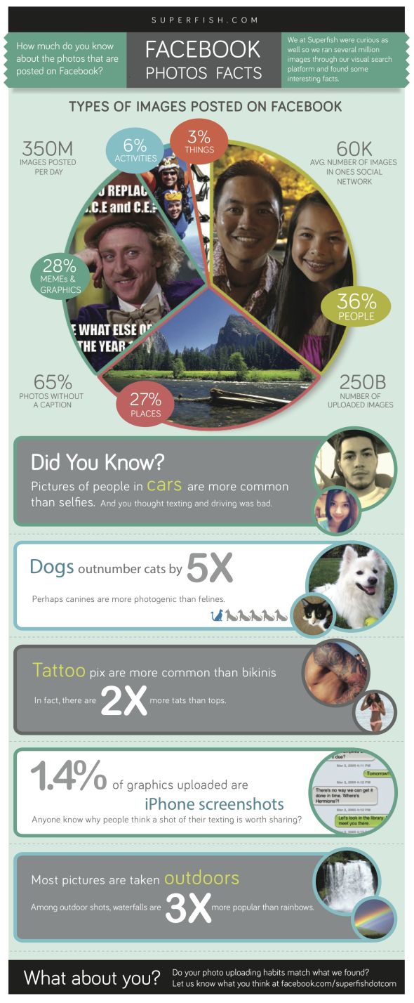 Facebook Görseller infografik