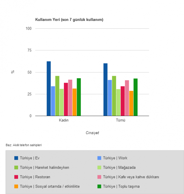 Mobil İnternet Kullanım Yeri