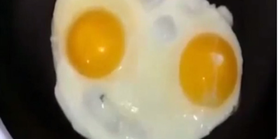 Son Dönemin En Çok Konuşulan Yaratıcı Vine Videosu: Yumurta