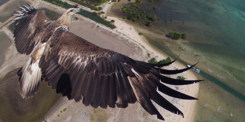 Dronestragram 2014’ün en iyi drone fotoğraflarını seçti