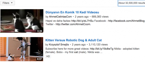 kedi-youtube-600x260