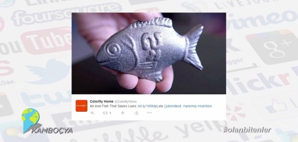 Kansızlık problemine çözüm olacak demir balıklar ile Sosyal Medya’da #olanbitenler