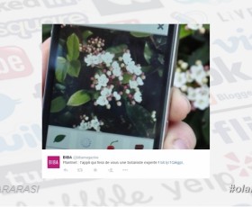 Bitkileri fotoğraftan tanımlayan mobil uygulama ile birlikte Sosyal Medya’da #olanbitenler [video]