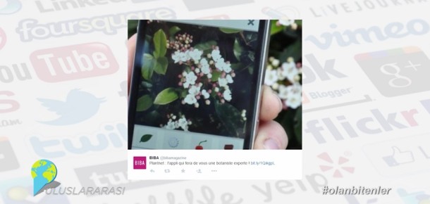 Bitkileri fotoğraftan tanımlayan mobil uygulama ile birlikte Sosyal Medya’da #olanbitenler [video]
