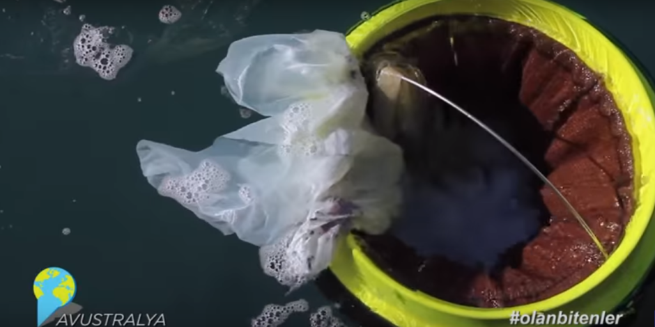 Denizde yüzerek temizlik yapan çöp kutusu ile sosyal medyada #olanbitenler