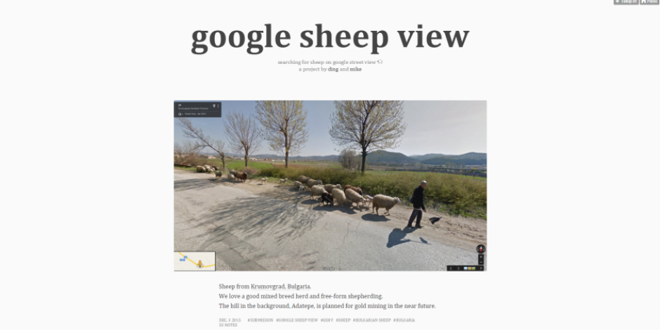 Google Street View’dan ilham alan proje Google Sheep View