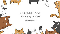 Kedi sahibi olmanın 21 avantajı