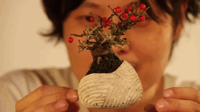 floating-bonsai-trees-air-hoshinchu-gif-31 (1)