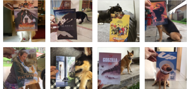 Ünlü film posterlerini köpeklerle kombin eden Instagram kullanıcısı