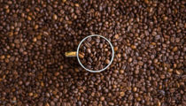 Bilim insanları kafeinin acıyı morfinden daha fazla dindirdiğini söylüyor