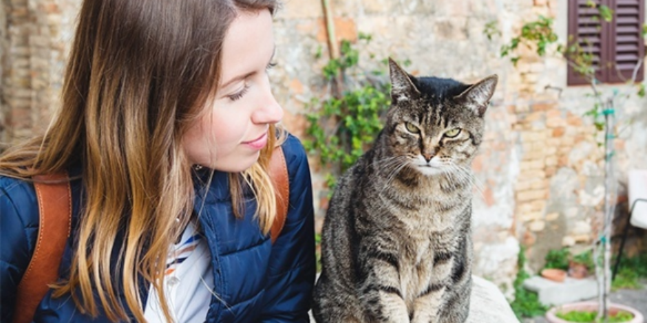 Araştırmalar, kedi insanlarının yalnız ve mutsuz olduğunu söylüyor