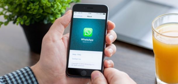 WhatsApp artık her tür dosyayı paylaşmamıza olanak sağlayacak